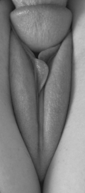 stiffdicksinpussies: stiffdicksinpussies.tumblr.com