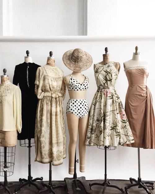 adoredvintage:  This afternoon’s lineup looking all sorts of pretty. #avsquad (at Adored Vintage)