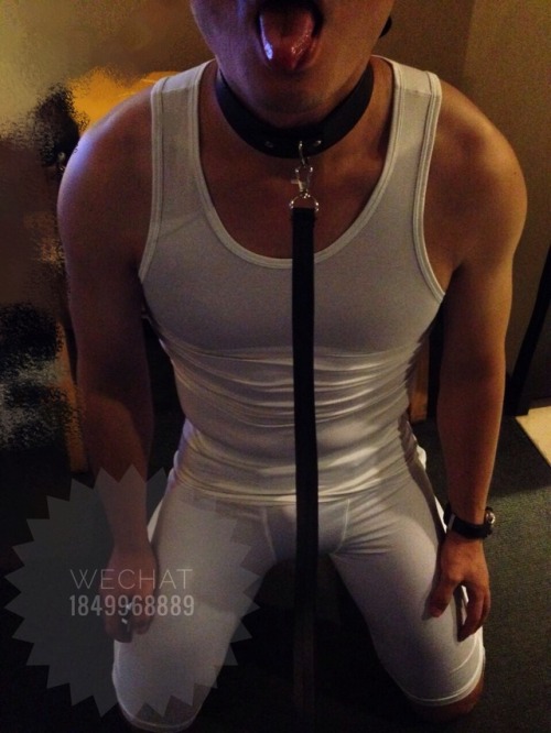 饥渴的骚狗伸出舌头想要什么？ the doggy is thirsty for what？