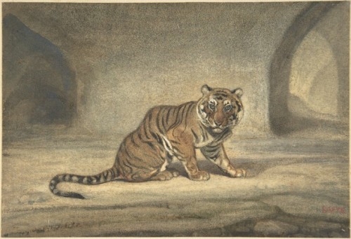 met-drawings-prints:Tiger, Antoine-Louis Barye, 1810–75, Metropolitan Museum of Art: Drawings 