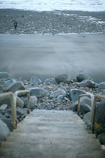  nature &amp; vintage blog 