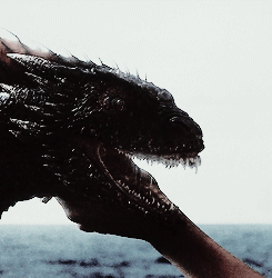 saltinthewounds:  I am the blood of the dragon, she thought. If they are monsters, so am I. 