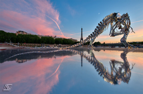 2headedsnake:  Philippe Pasqua recently completed an installation of a Tyrannosaurus Rex skeleton that now stands watch over the Seine river in Paris. the structure is made from 350 chrome molded bones and measures a full 21’ x 12’. Philippe Pasqua