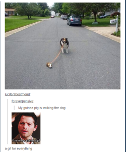 ozthemagician:  Supernatural stealing posts since the day I joined 