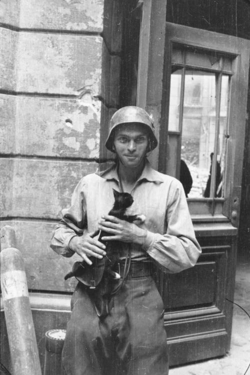 stillunusual:Eugeniusz Lokajski (code name “Brok”) - Polish resistance fighter and photoreporter (an