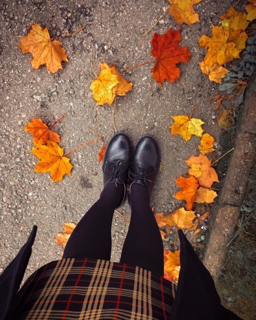 jerianie:Favorite autumn looks so far This season is just so pretty! More can be found on my instag