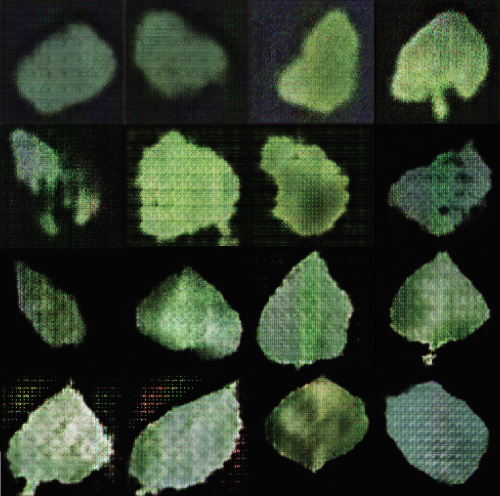 lucky-number-8:A machine learning model is trained on a scientific dataset of leaf photographs and s