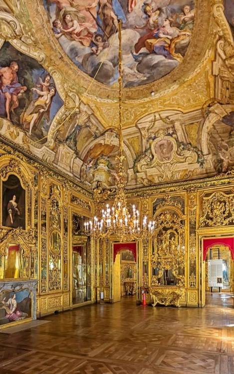 legendary-scholar:  Carignano Palace, Turin Italy.