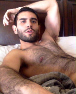 mydaddyishairy:  My Daddy is Hairy - over 34,000 followers: Archive