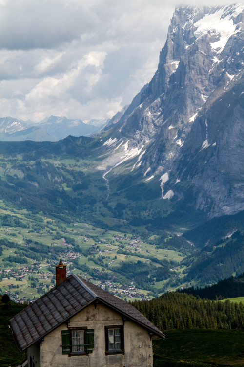 endorfinley: The North Face
