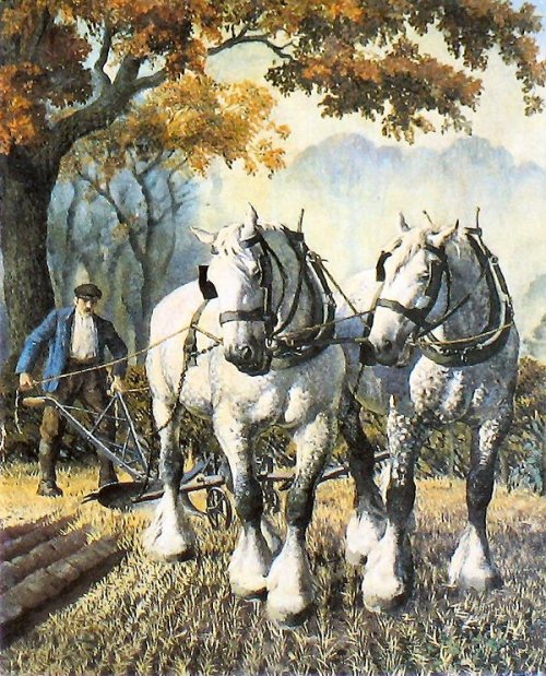 Shire Horses by Charles Tunnicliffe