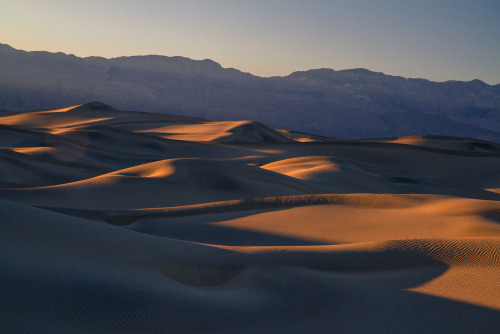 Mesquite Flat Sand DunesDeath Valley National Park, CA. January 2013