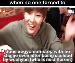gyuishy-deactivated20141112:  sunggyu + aegyo = otp  