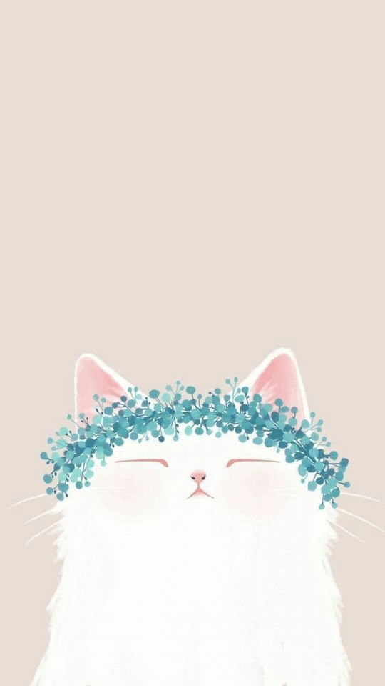 aesthetic #tumblr #gato #fondo  Cute cat wallpaper, Cute cats