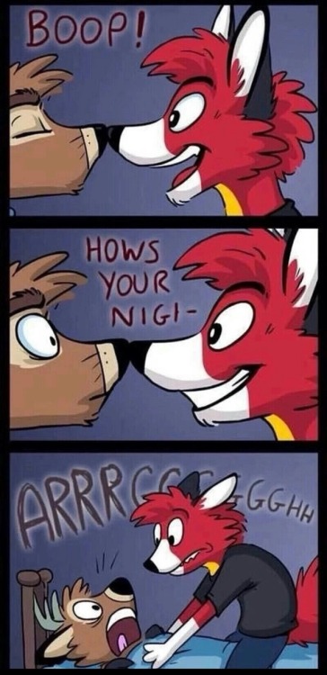 furries-forever:HEY HEY HEY!!! MORNING FOR ME! *coughs* Almost night. *cough cough* WASSUP MY LOVELY FLUFFIES?!