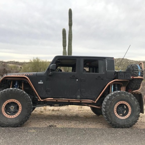 Cactus! definitely know we are in Arizona now #jeepdog #pscmotorsports #rubiconexpress #warnwinch #