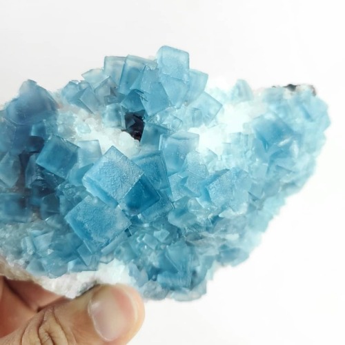 A fresh blue fluorite cluster from New Mexico :) going in the next update (1-2 weeks away, more info