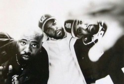 resurrectinghiphop:  Westside Connection