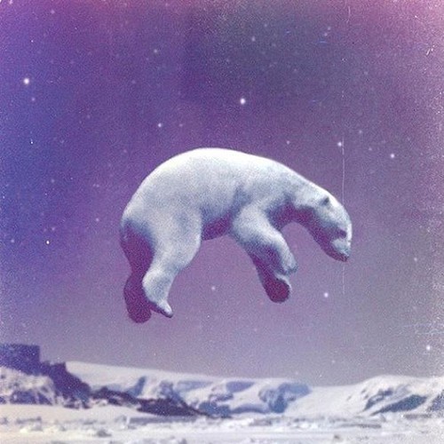 through-the-loooking-glass:  hipster | Tumblr on We Heart Ithttp://weheartit.com/entry/74115966/via/rosestea