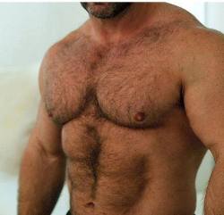  The two hairy men blogs: /
