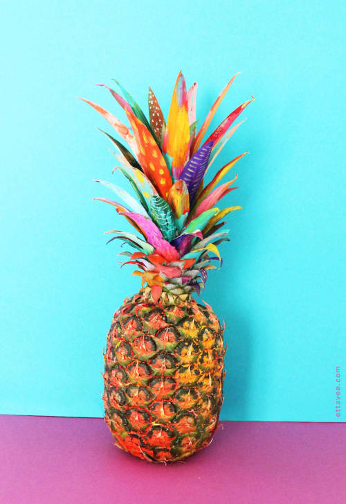 Series of Colorful Illustrative Exotic Fruits by Jessi MichelleAmerican designer and art director Je