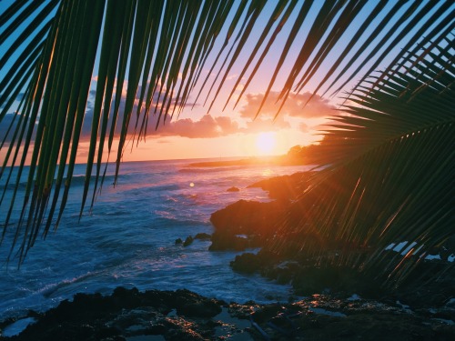 Hawai'i sunsets are pretty bomb