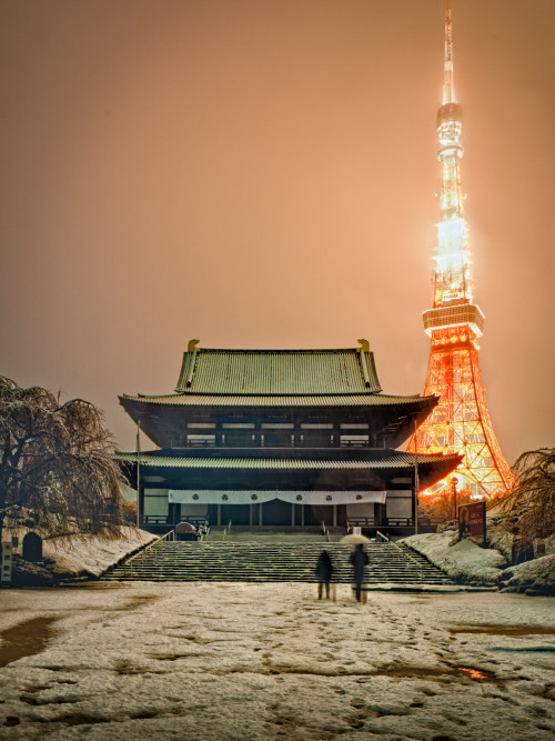 dontrblgme2:Tokyo under the snow (via balbo42)