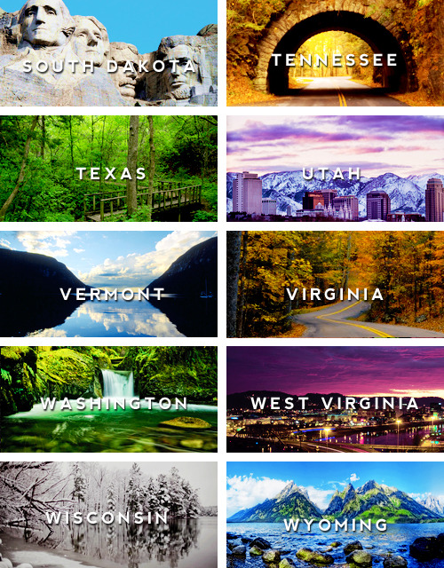 jesse-pinkmanarchive-deactivate:  The beautiful United States of America.   South