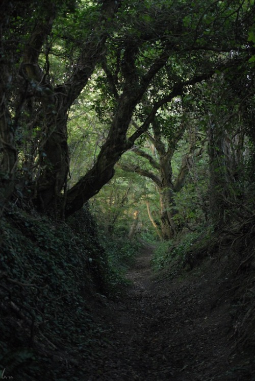 buron: Liminal Pathway (Other side of Tír na nÓg) (7) ©buron - September ‘1