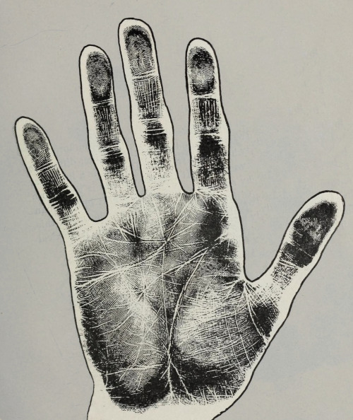 Images modified by Amy M. Lavine based on plates from Cheiro’s language of the hand (1900) and Revel
