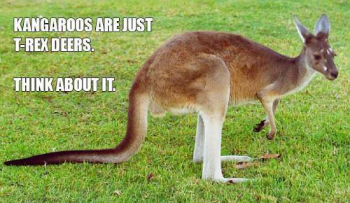 Mind.  Blown.