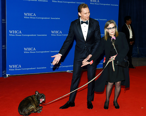 a-distinguished-potato:  i love how Tom and Carrie are going full out “behold the majestic Gary” and if you zoom in majestic af 