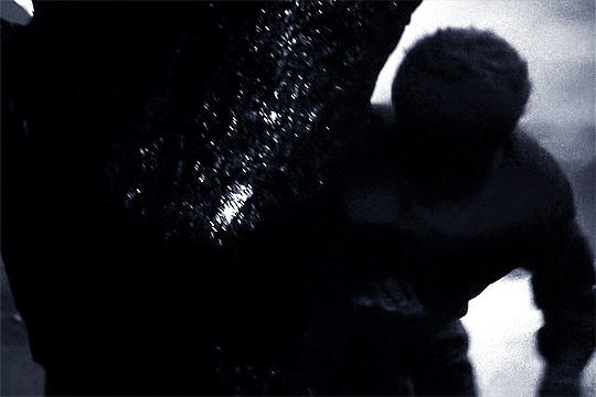Even A Man Who Is Pure In Heart And Says His Prayers By Night, May Become A Wolf When The Wolfbane Blooms