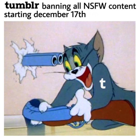 knowwhatimeme:  The thing is that I’m not at all sure that the current owners of Tumblr (Verizon) want it to survive. 