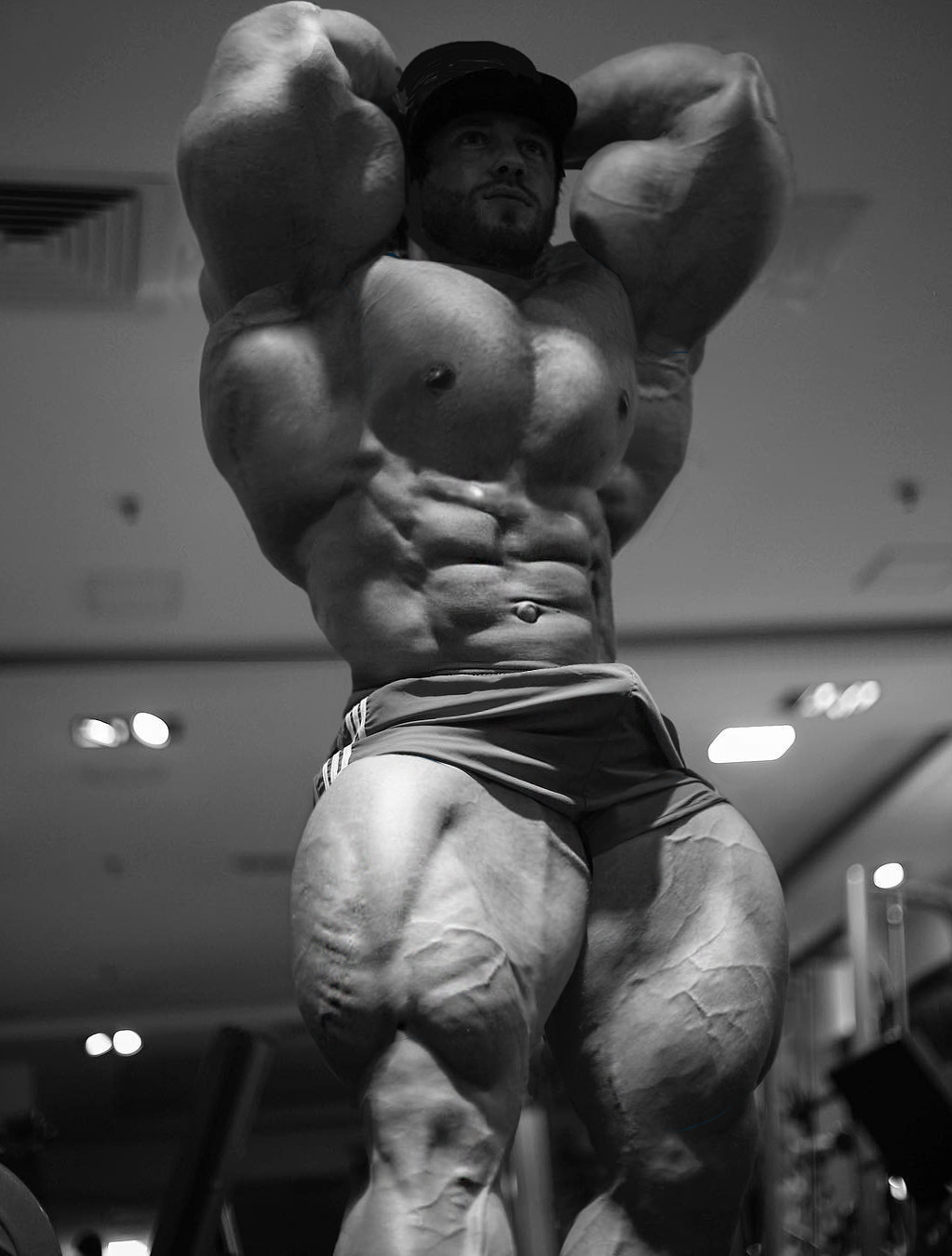 Another impressive morph.