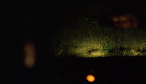 antleredthoughts: La marge (1976), Walerian Borowczyk