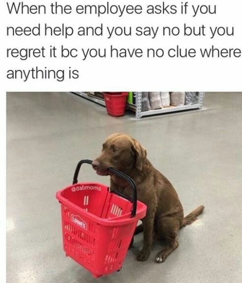 Dank Doggos on Tumblr: Image tagged with doggo, dog memes, dank memes