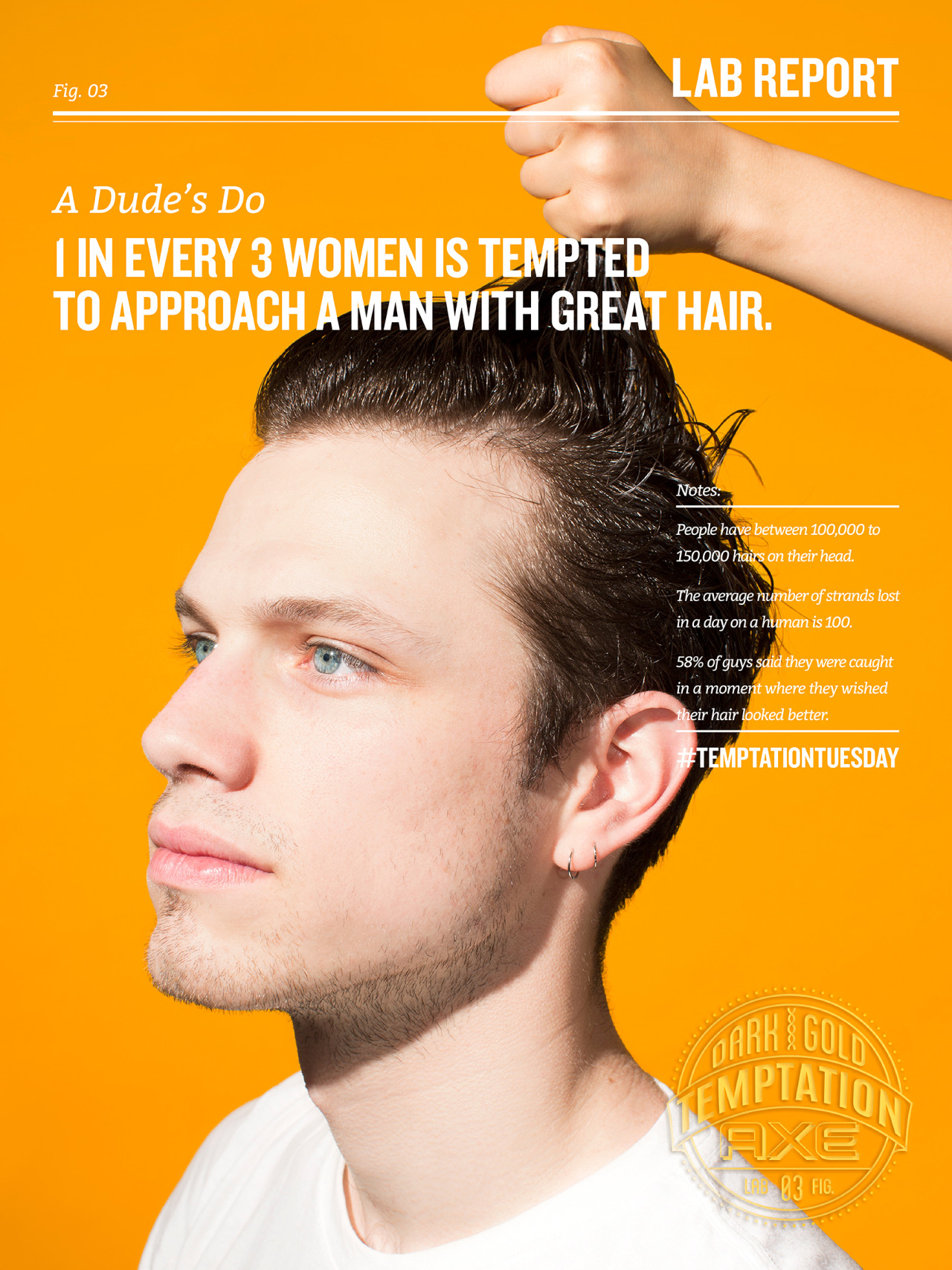 1 in every 3 women is tempted to approach a man with great hair.
Created by David Brandon Geeting