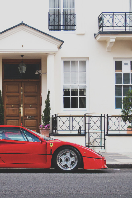 tryintoxpress:    Legend - Photographer ¦ Lifestyle - Nature - 18+    
