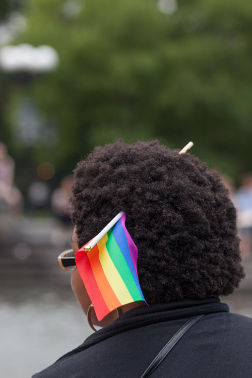 Love Wins! NYC Pride 2015, Washington Square Park 