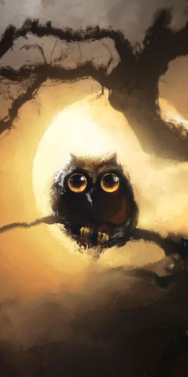 Cute, black owl, night, full moon, art, 1080x2160 wallpaper @wallpapersmug : https://ift.tt/2FI4itB 