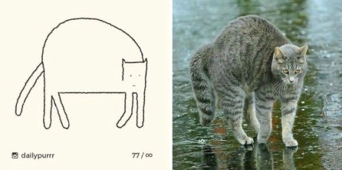 art-woonz: Art by IG: @dailypurrr Instagram: @artwoonz