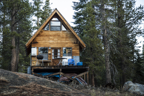 cabinporn:A 14×16 hand-built cabin in the California Sierra. It is located at 7,700 feet near Sonora