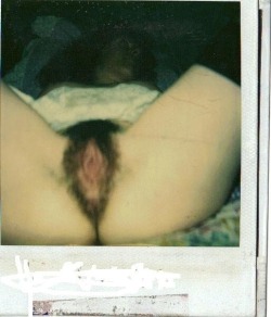 whenpussieswerefurry:  Old Polaroids of a sexy retro amateur with a fine bush!  Fine old bush