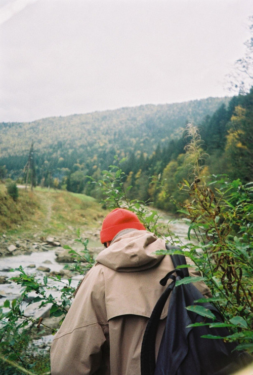 raises:  nature/vintage blog 