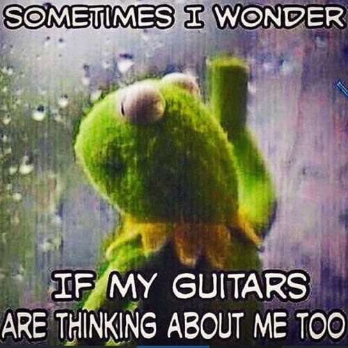 Guitarist problems… #tonejunkie #gearnerd #guitar #tubeamp #vacuumtubes #music