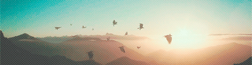 ainawen-nurlaer:  Fly 