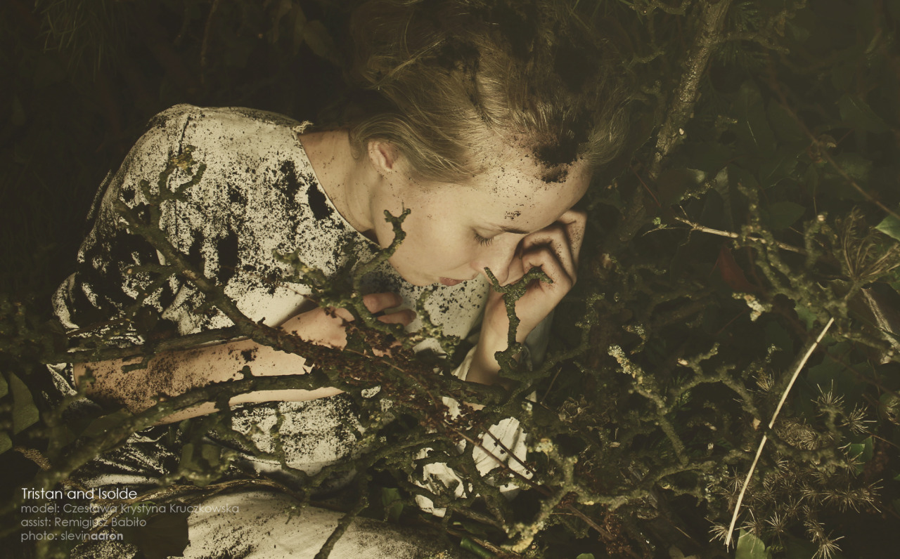fairytalemood:  &ldquo;Tristan and Isolde&rdquo; by slevinaaron (Bartosz