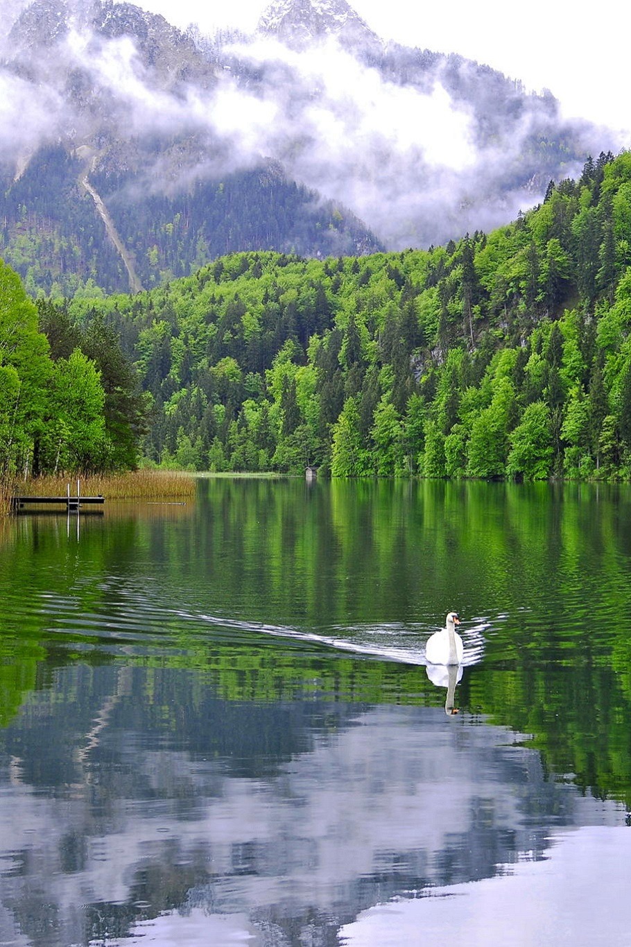 sublim-ature:  Schwansee, GermanySource 