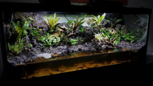 Hey Guys, If I Steal You All Away From The Woes Of Your Mundane Lives And Put You In A Terrarium And
